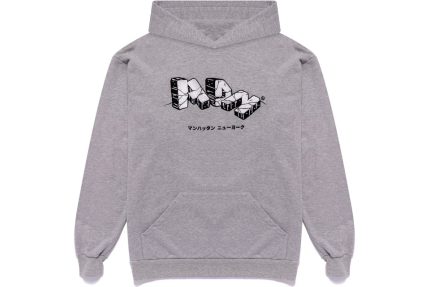 Hidden NY Artifact Hoodie Grey